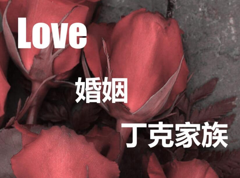丁克是什么意思 丁克的人幸福嗎