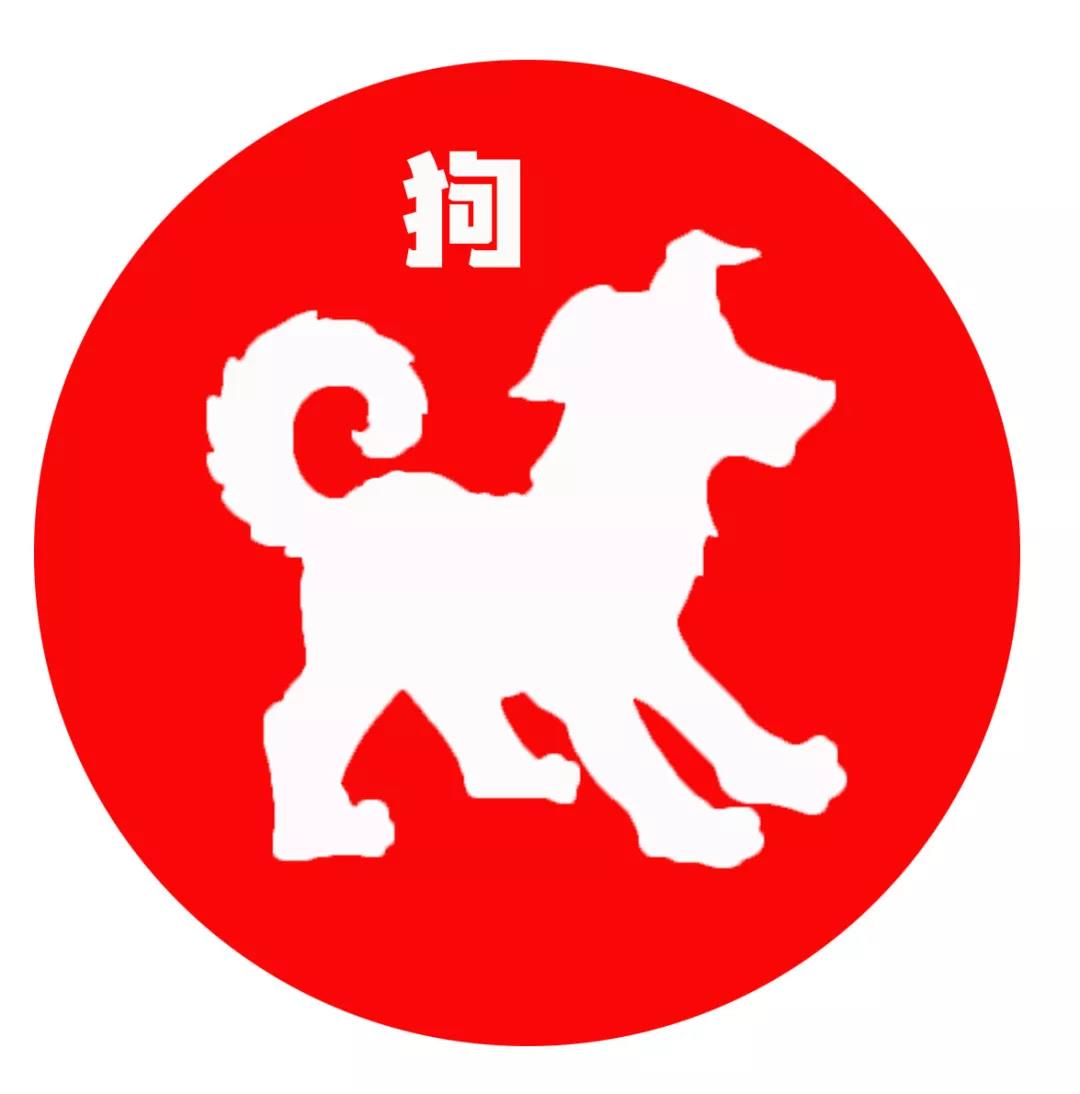 2019十二生肖屬相婚配一覽表  第11張