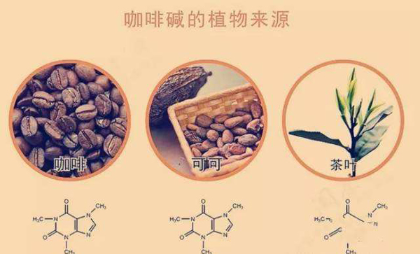 咖啡因是什么？咖啡因的作用是什么  第2張