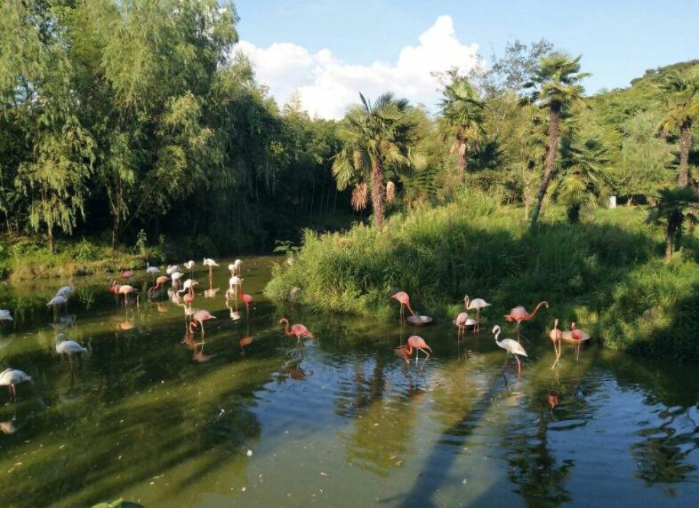 杭州旅游攻略 2019杭州旅游景點推薦 第10張